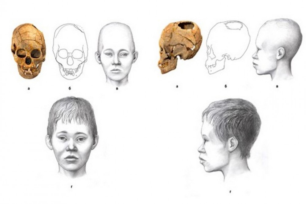 Череп маленьких людей. Форма черепа. Правильная форма черепа. Форма черепа человека в профиле.