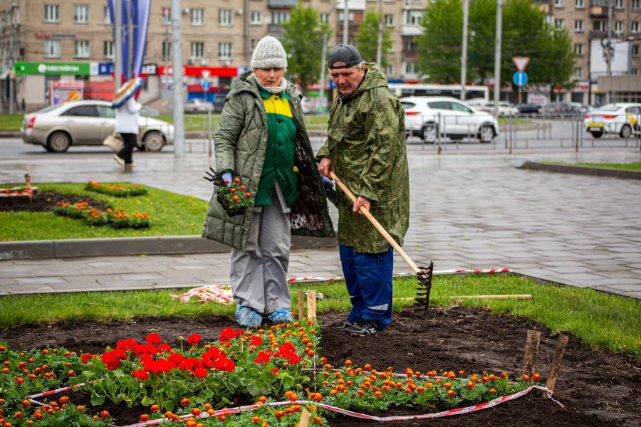 Фото новосибирска клумбы