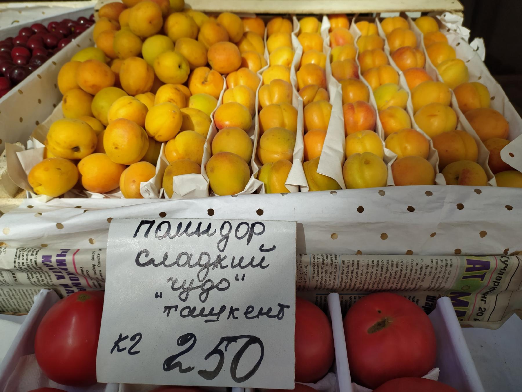 Черешня и абрикос. Как довезти черешню в машине 3 суток. Черешня в ящике таджикистан. Сколько стоит черешня в москве. Черешня из азербайджана.