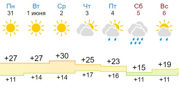 Фото До +30 градусов прогнозируют синоптики в Новосибирске на будущей неделе 2