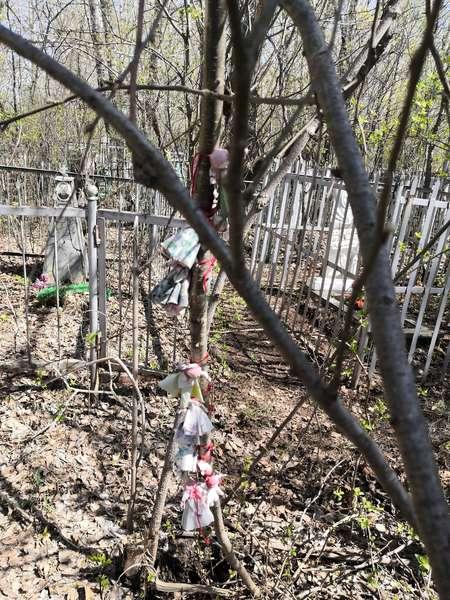 Фото 12 ритуальных кукол обнаружили жители на кладбище под Новосибирском 2