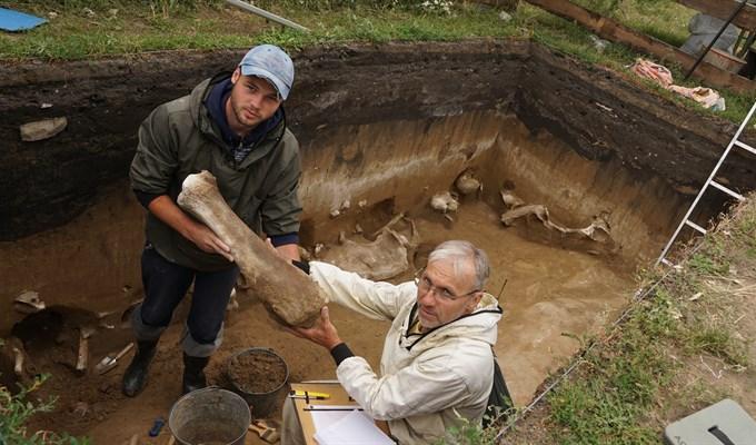 Фото Томские палеонтологи нашли культовый предмет на знаменитом «волчьем кладбище» 2