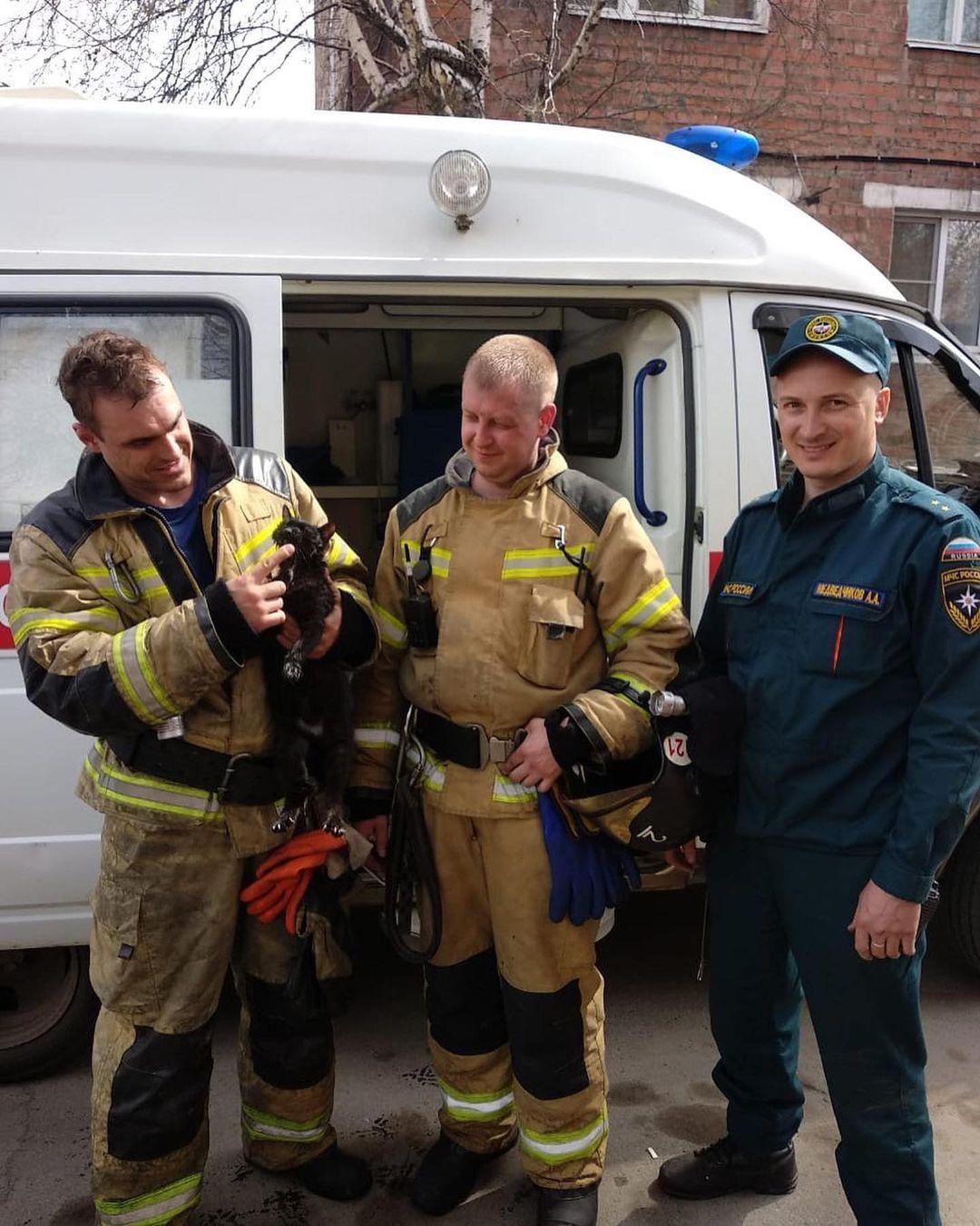 Фото Пожарные реанимировали кота, который едва не погиб из-за непотушенной сигареты в Иркутске 2