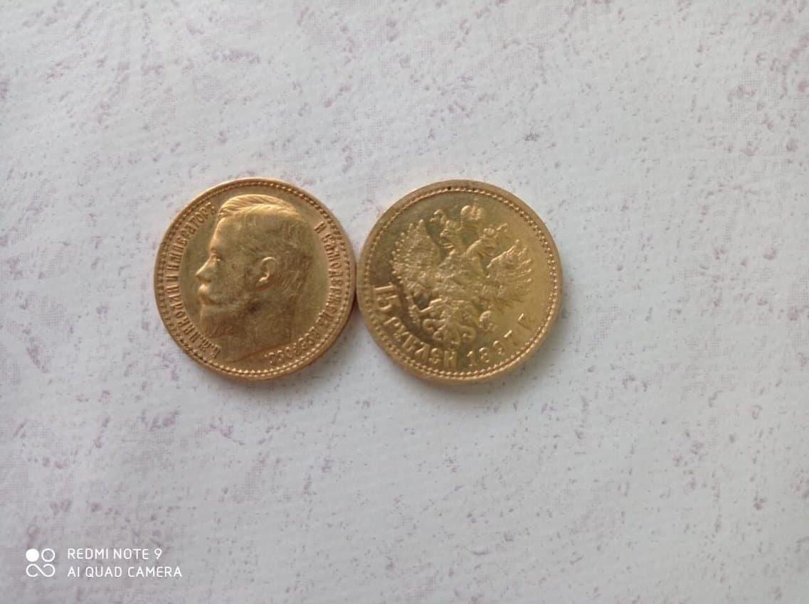 Фото Клад золотых и серебряных монет нашли в огороде в Забайкалье 2