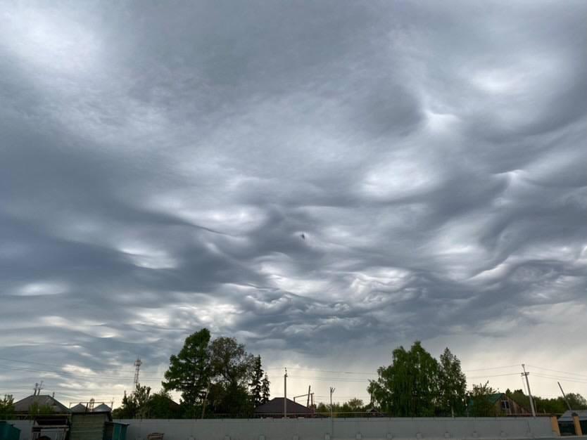 Фото Редкие облака асператус заметили в небе над Новосибирском 2