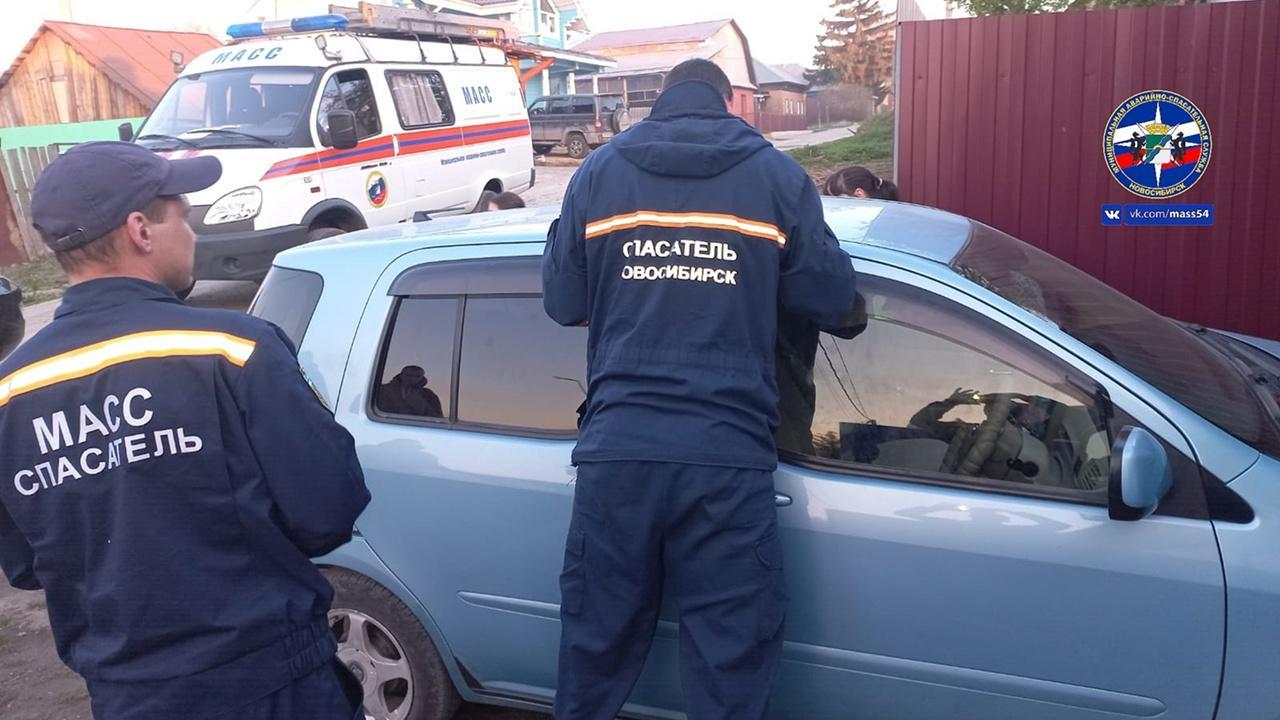 Фото «Травма на всю жизнь»: спасатели рассказали об эвакуации детей из закрытых машин в Новосибирске 2