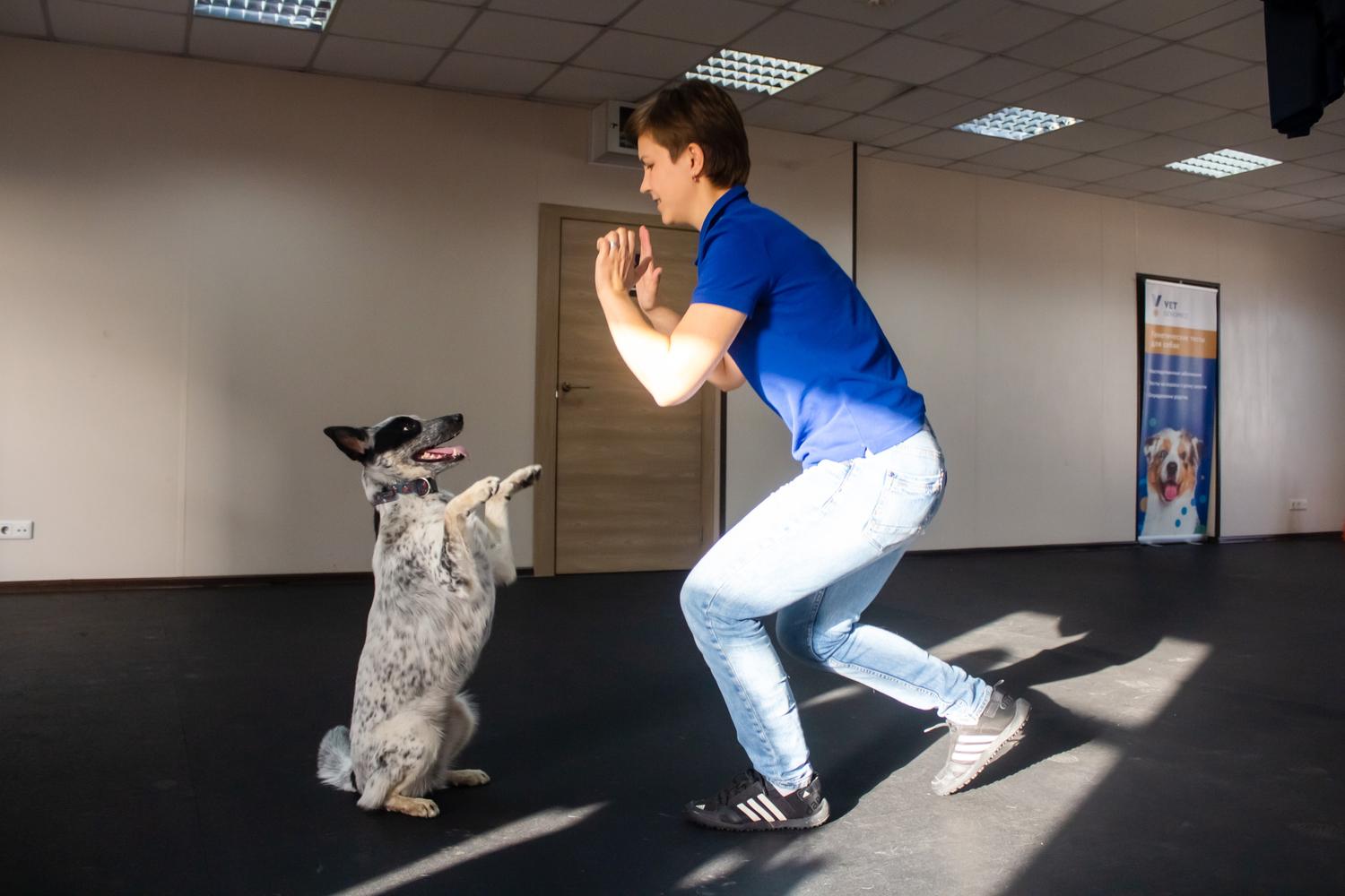 Фото В Новосибирске показали уроки танцев для собак 10