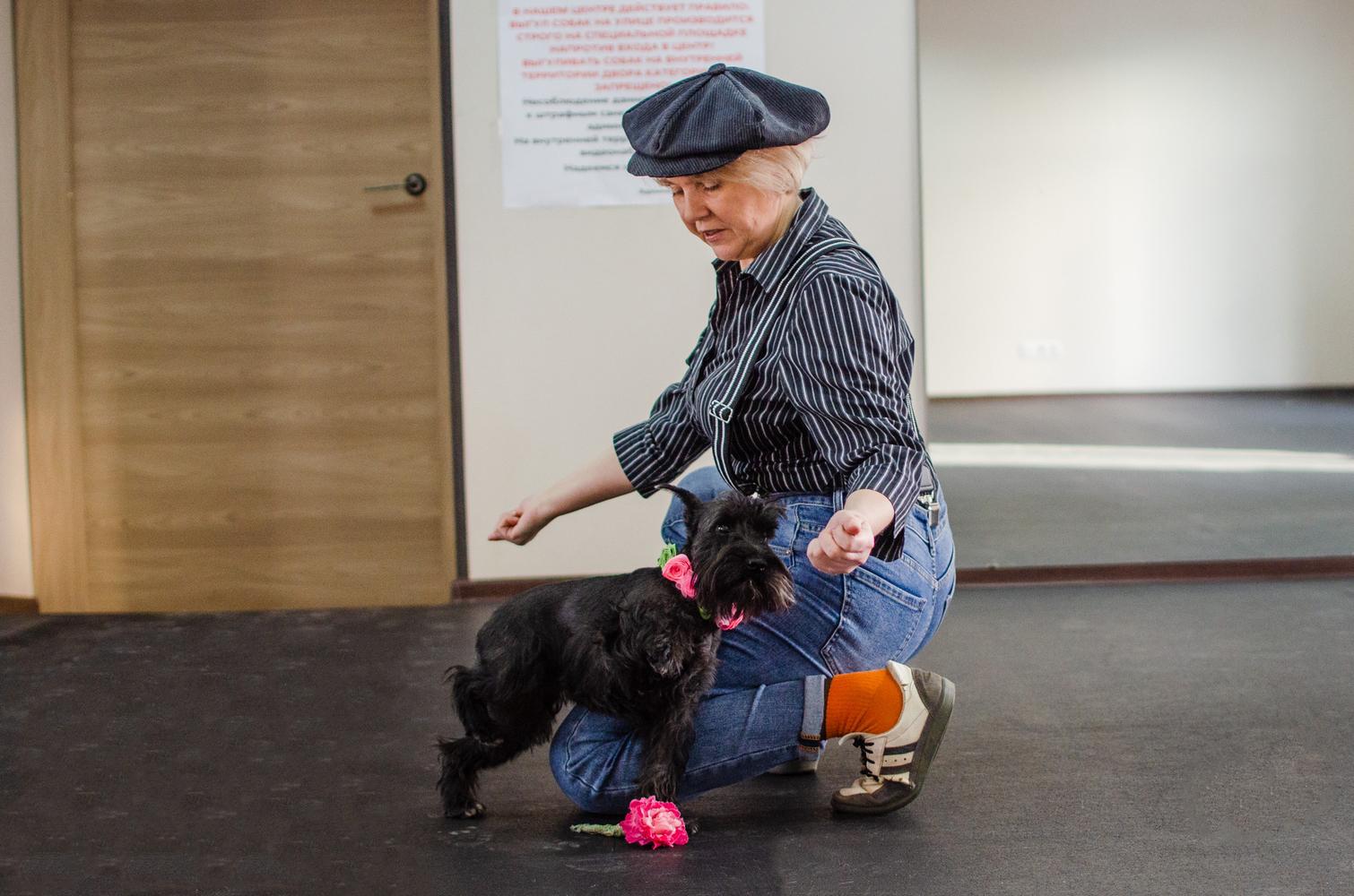 Фото В Новосибирске показали уроки танцев для собак 7