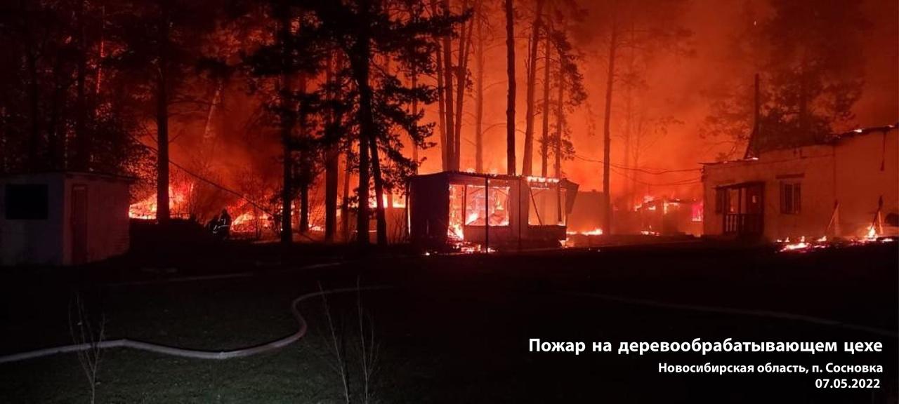 Фото «Раз – и нет деревни»: в МЧС объяснили продление противопожарного режима в Новосибирской области 2