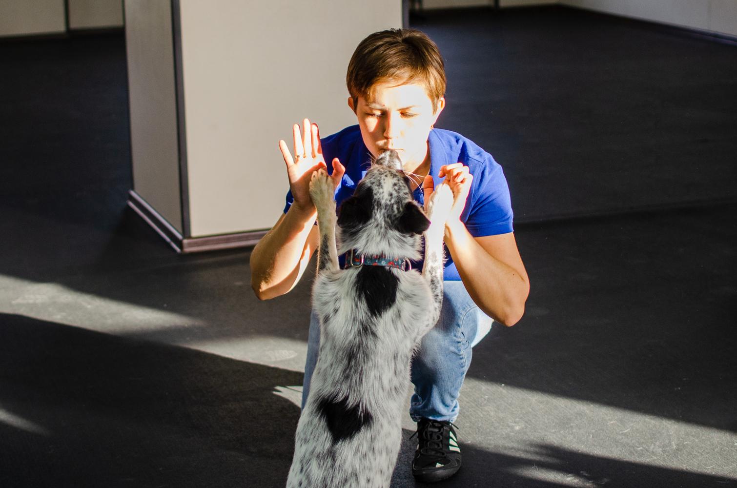 Фото В Новосибирске показали уроки танцев для собак 8