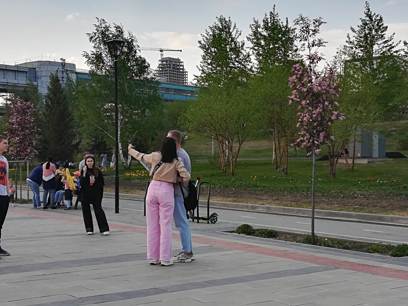 Фото В Новосибирске на Михайловской набережной зацвели  немецкие яблони 4