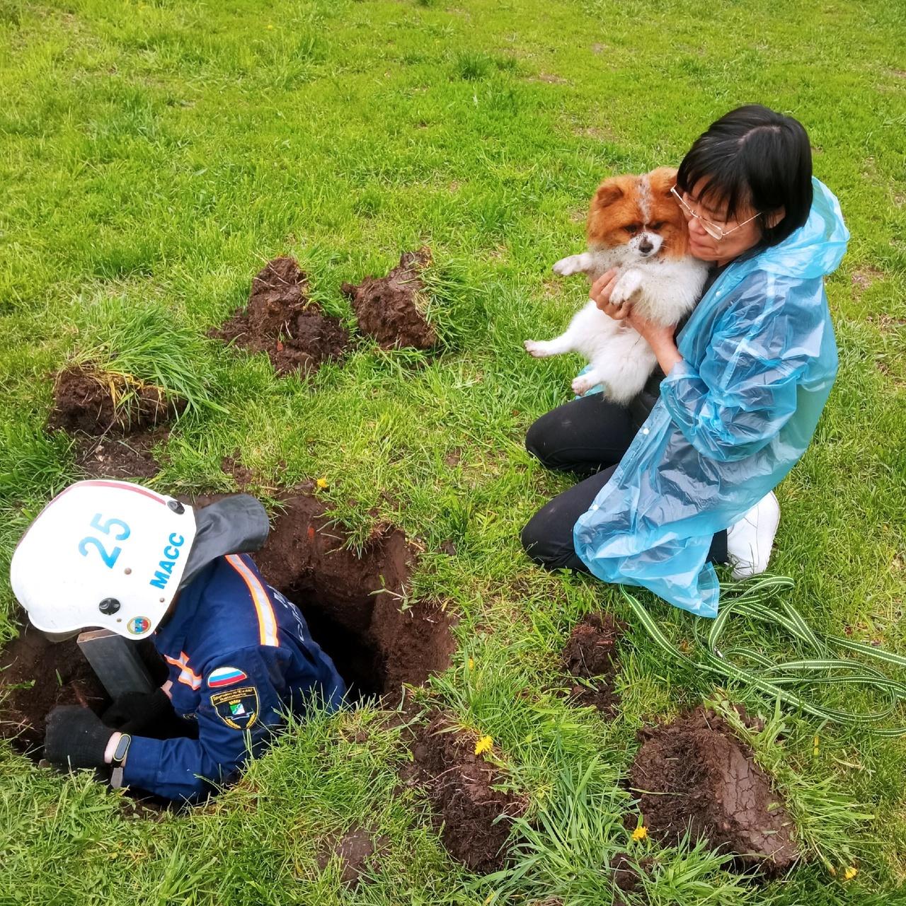 Фото В Новосибирске собака провалилась в яму глубиной пять метров 2