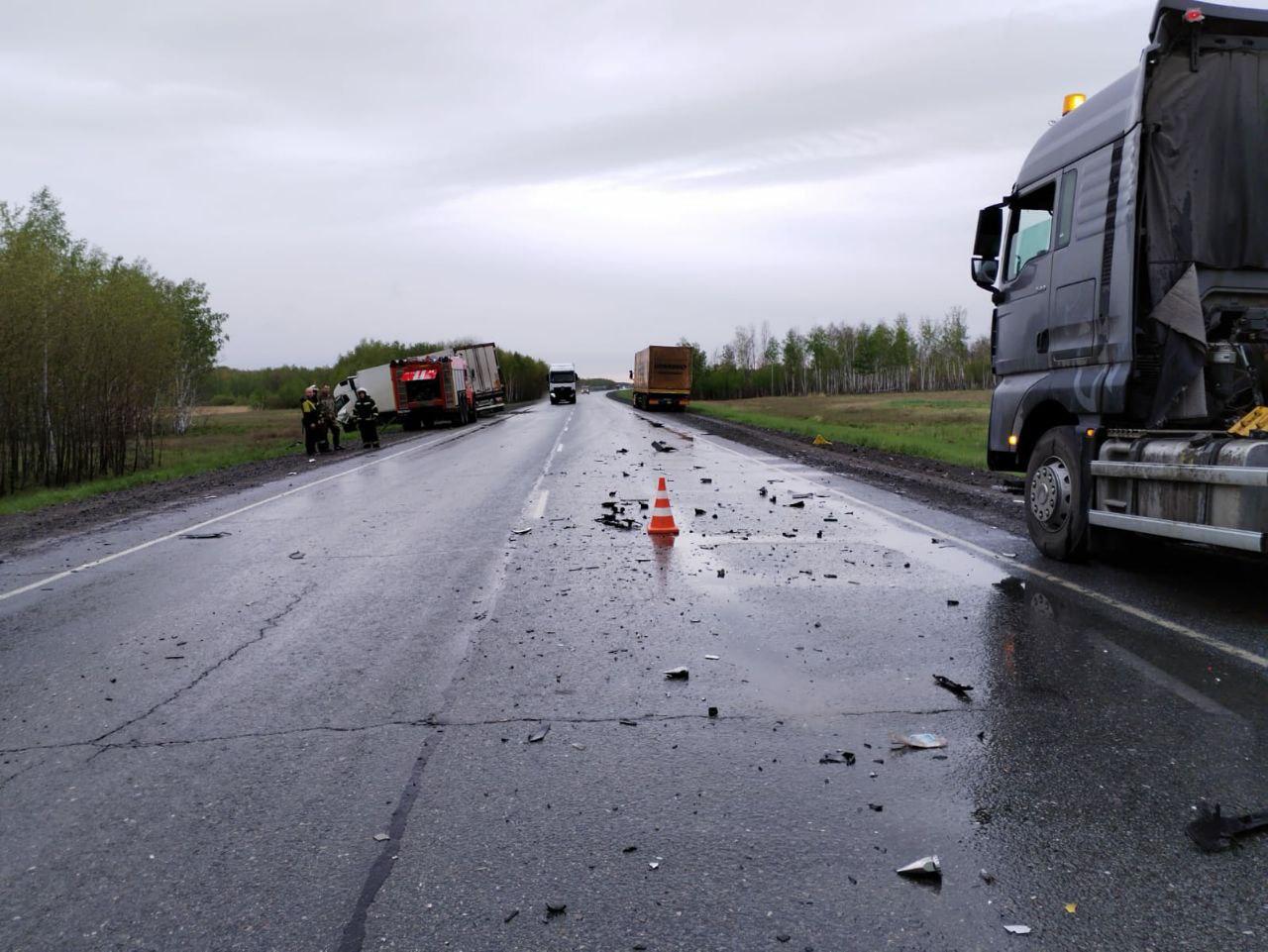 Фото Смертельное ДТП в Чановском районе под Новосибирском: водитель Renault Logan столкнулся с грузовиком Volvo — двое погибли 2