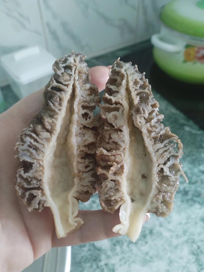 Фото Новосибирские леса заполонило рекордное количество майских грибов. 30 кадров даров природы 28