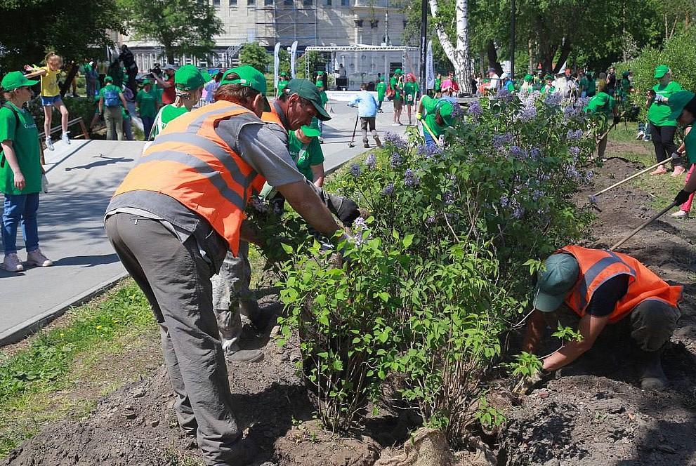 Фото Мэр Новосибирска призвал учитывать мнение жителей при озеленении городских территорий 2 - Сиб.ФМ Фото Мэр Новосибирска призвал учитывать мнение жителей при озеленении городских территорий 2