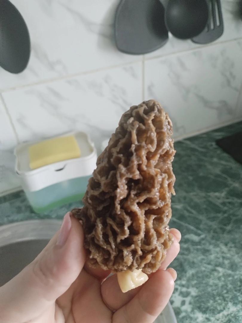 Фото Новосибирские леса заполонило рекордное количество майских грибов. 30 кадров даров природы 25