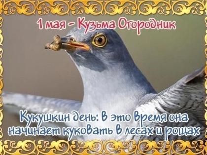 Фото День Козьмы Огородника 1 мая: открытки для рассылки родным 5