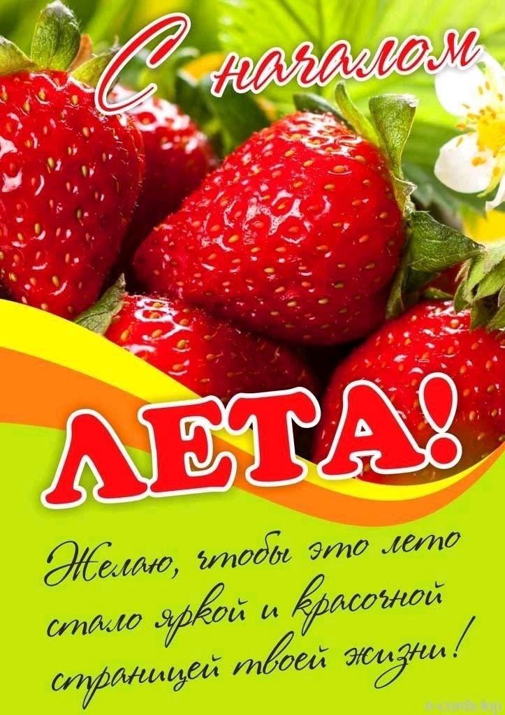 Фото Долгожданное лето-2025: открытки для рассылки друзьями и близким 6