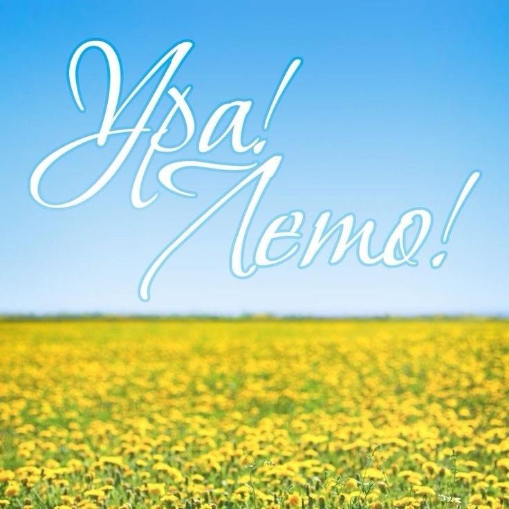 Фото Долгожданное лето-2025: открытки для рассылки друзьями и близким 5