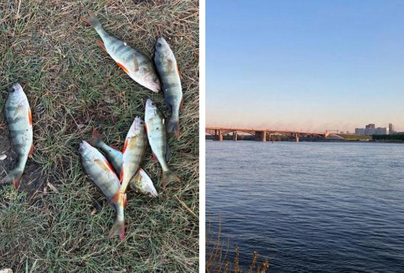 Фото Нерестовый запрет и взрыв машины: главные новости Новосибирской области за 20 мая 2 - Сиб.ФМ Фото Нерестовый запрет и взрыв машины: главные новости Новосибирской области за 20 мая 2