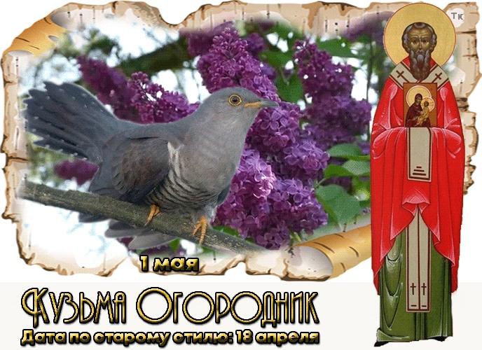 Фото День Козьмы Огородника 1 мая: открытки для рассылки родным 4