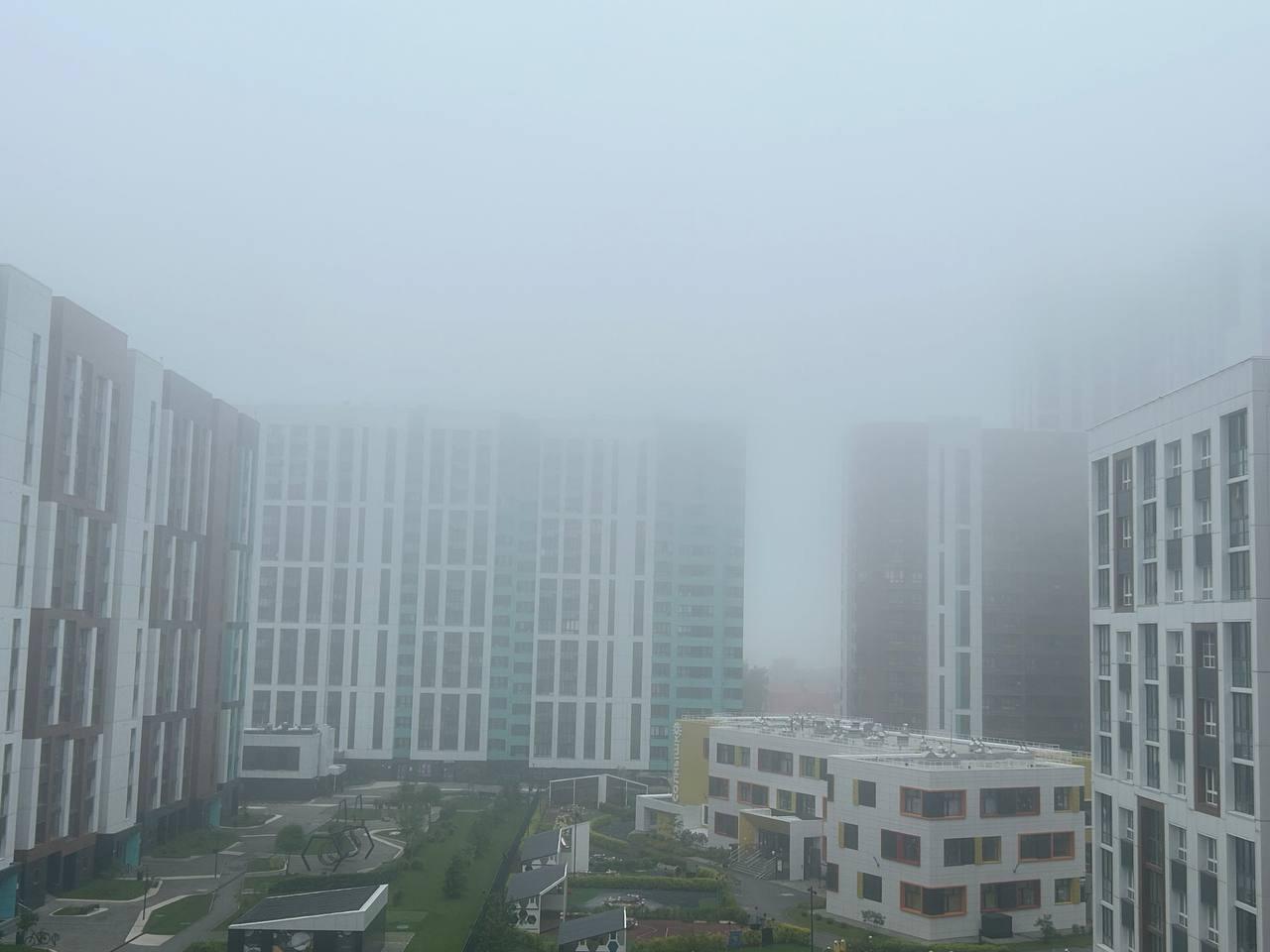 Фото Новосибирск окутал плотный туман 31 мая 2