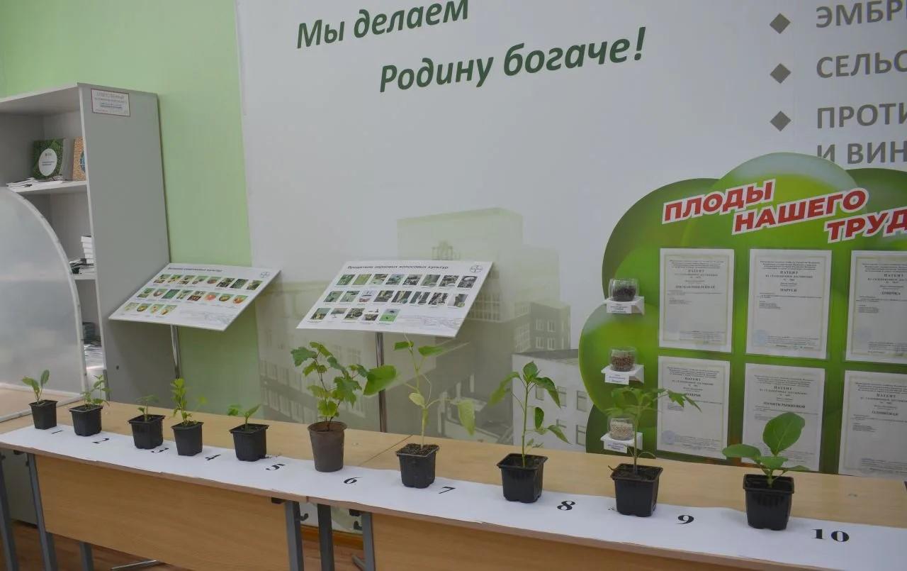 Фото В Омском ГАУ определили финалистов очного регионального этапа конкурса «АгроНТРИ-2026» 3