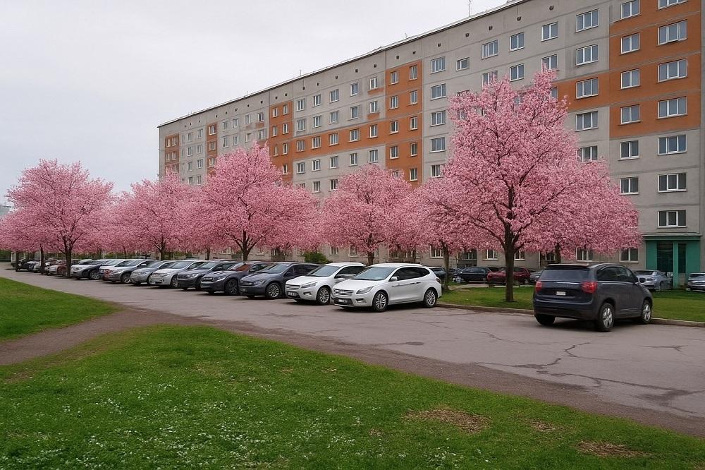 Фото Нейросеть «озеленила» Искитим: в центре города появились каштаны и цветущие аллеи 3 - Сиб.ФМ Фото Нейросеть «озеленила» Искитим: в центре города появились каштаны и цветущие аллеи 3