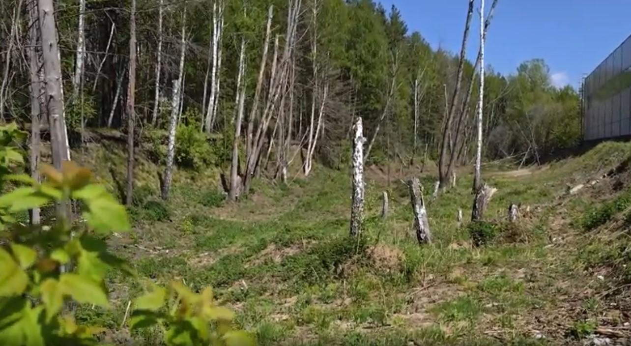 Фото Суд определит судьбу Новосибирского картонно-бумажного комбината 3 июня 4