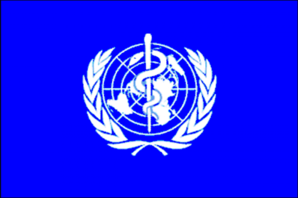 Оон здоровье. Флаг организации Объединенных наций. Символ ООН. Воз. Карта на флаге ООН.