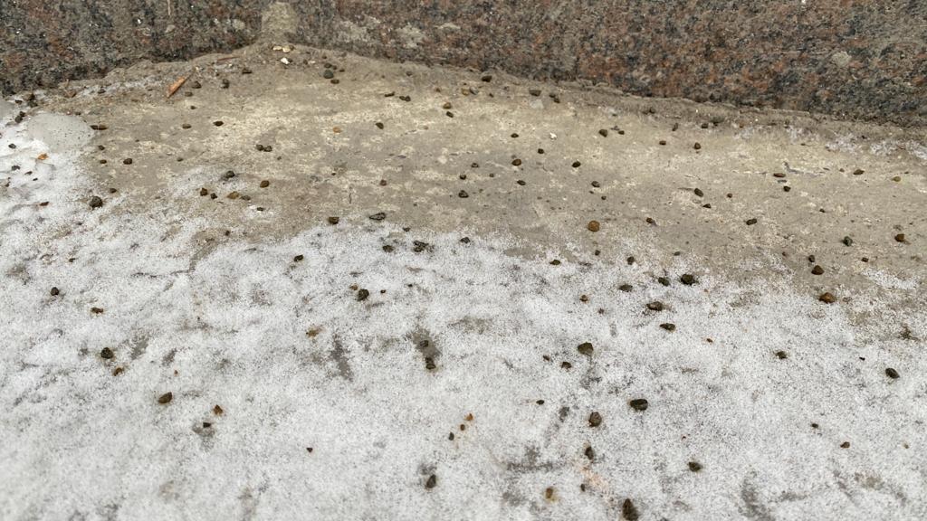 Фото В Новосибирске тротуары посыпали гравийной смесью от скольжения 2