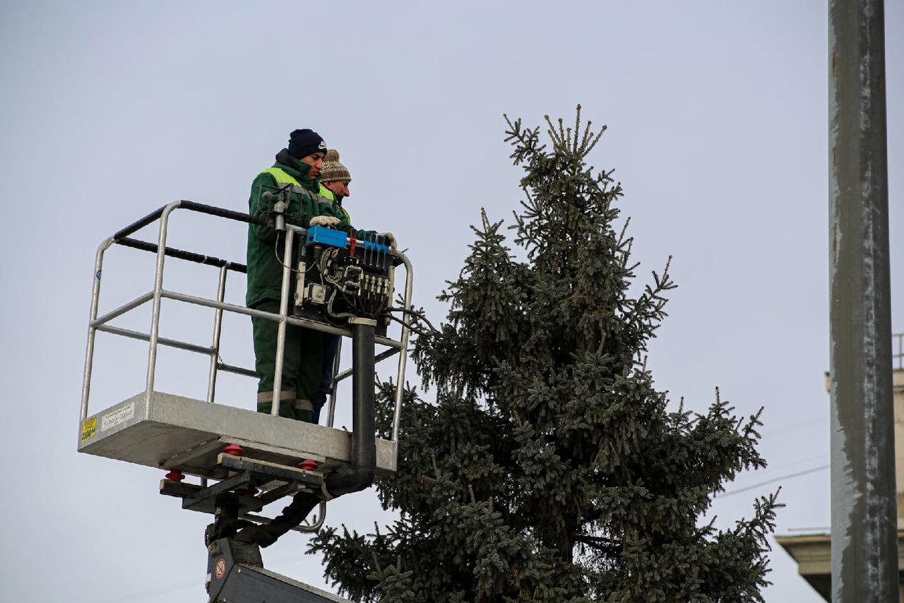 Фото В Новосибирске голубые ели на площади Ленина подстригли на зиму 3