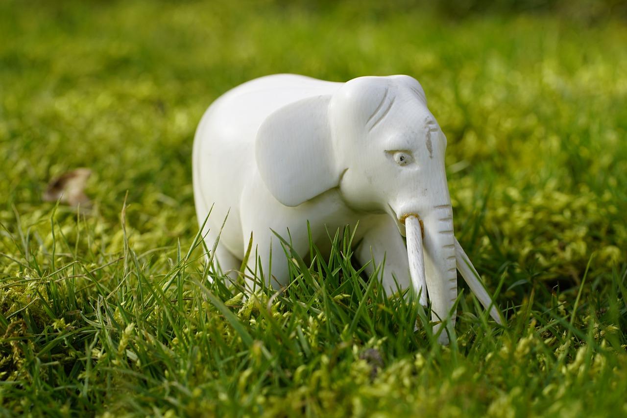 Фото Фигурка слона, лаванда и веник: топ-5 вещей, несущих богатство в дом 2