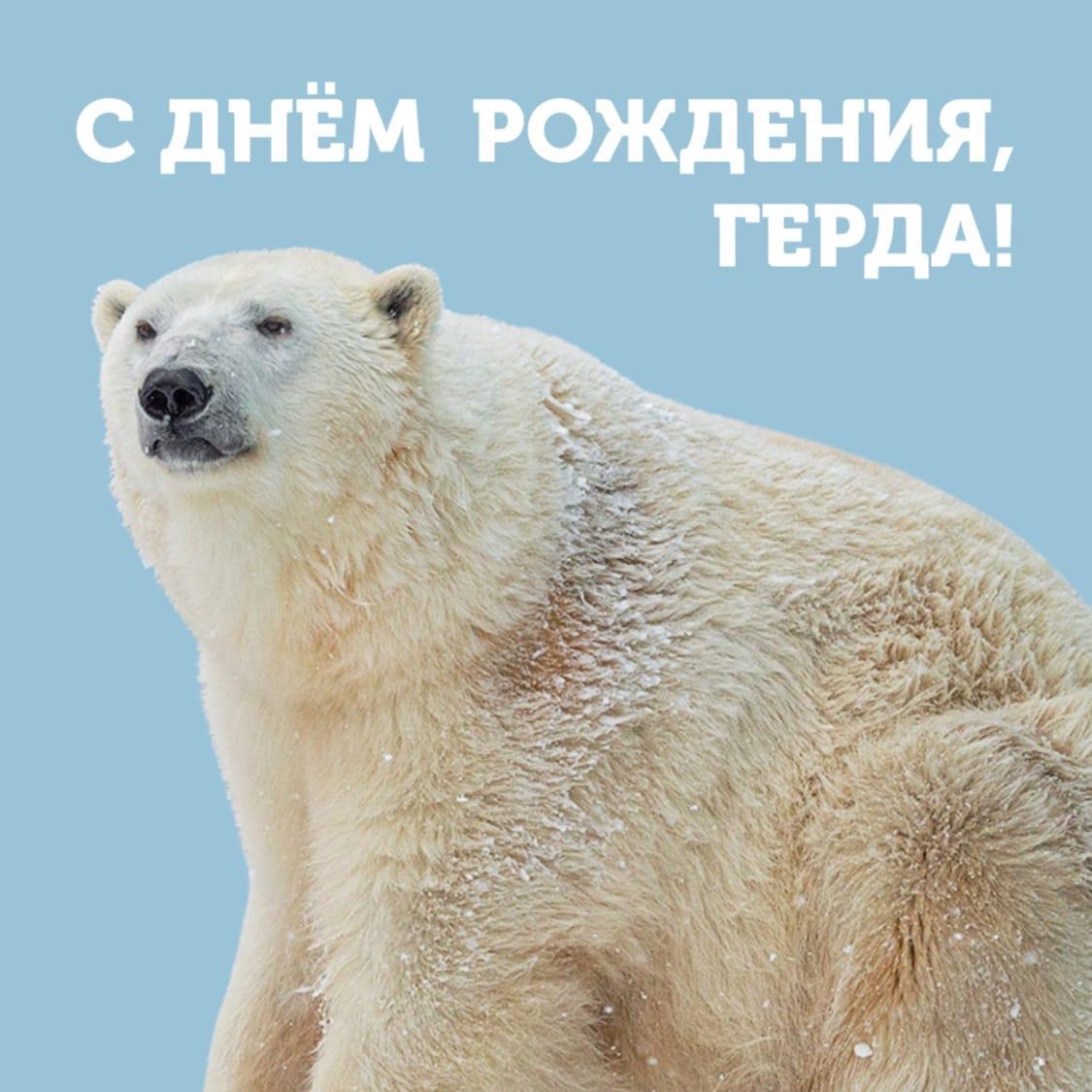 Фото В Новосибирском Зоопарке