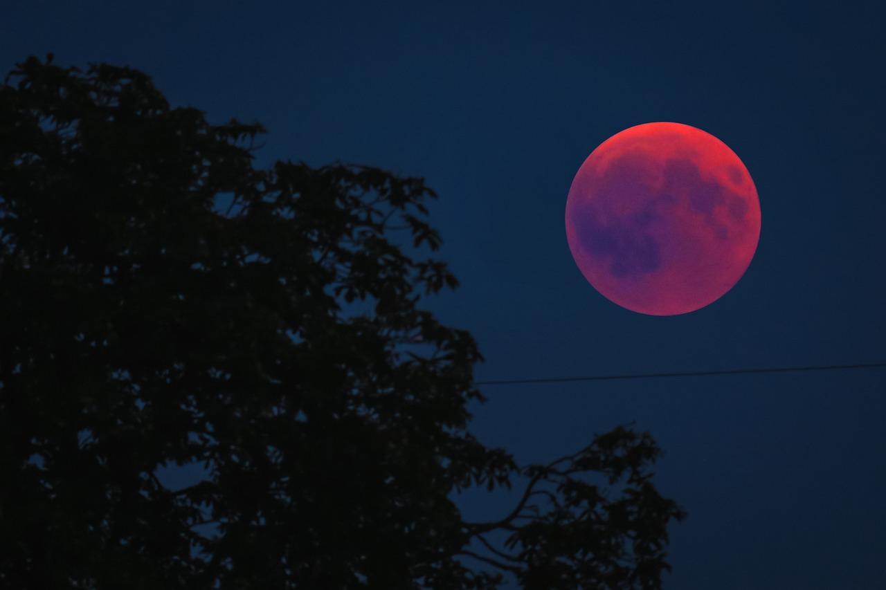 Фото Лунное затмение 8 ноября 2022: онлайн трансляция 3