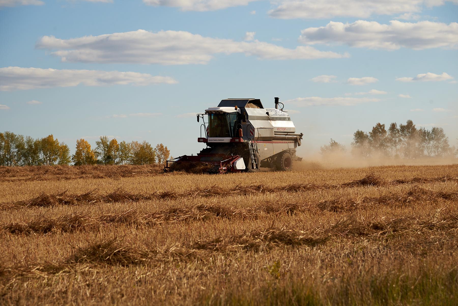 В сентябре был собран рекордный урожай. Уборка урожая. Сельское хозяйство Баганского района. Аграрий. Аграрии Новосибирской области.