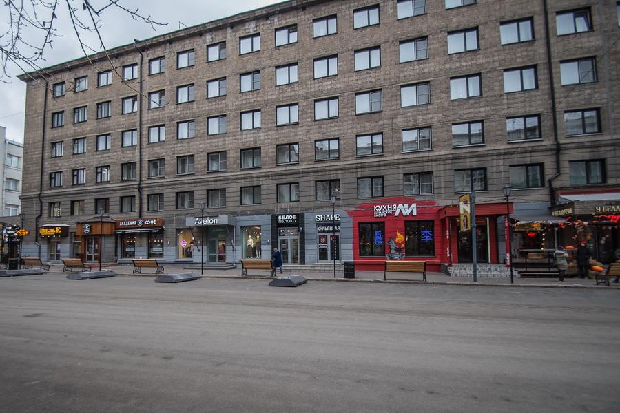 Фото В Новосибирске перекрыли улицу Ленина: 10 фото опустевших дорог 3