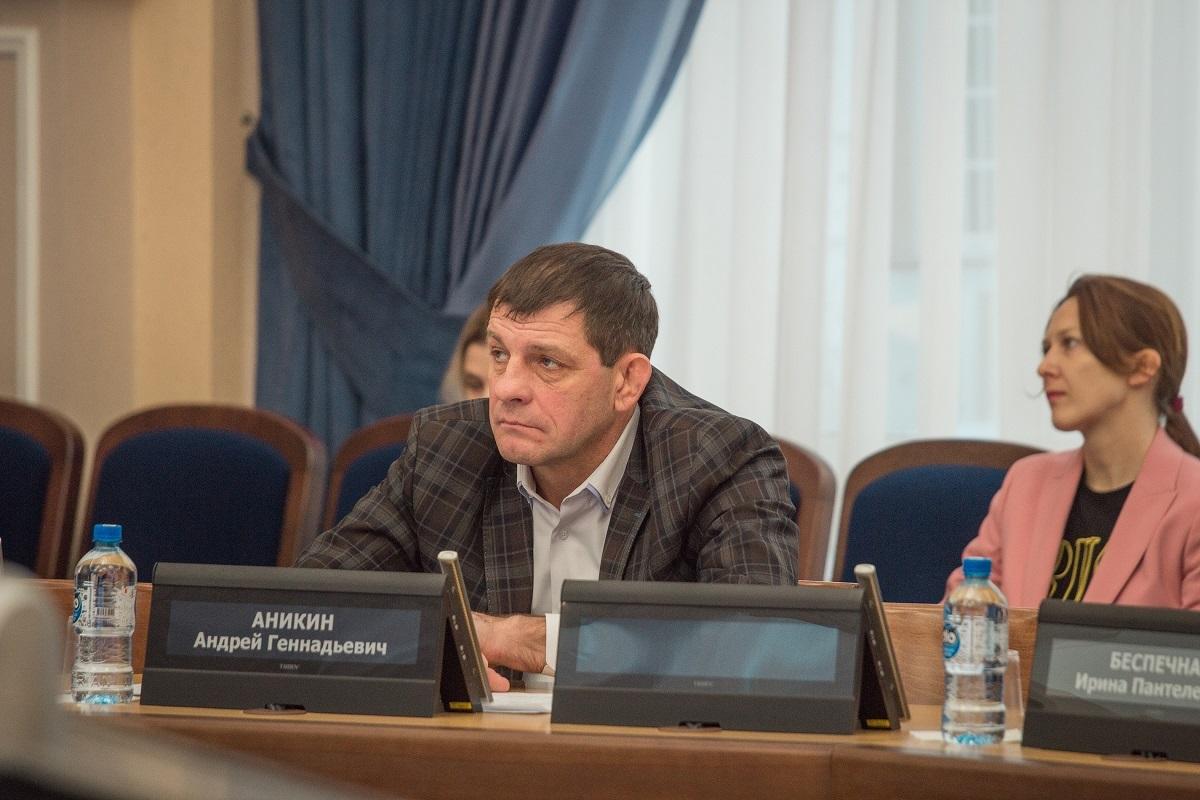 Фото Депутаты горсовета Новосибирска предлагают искать финансовые резервы для развития культурных учреждений 5