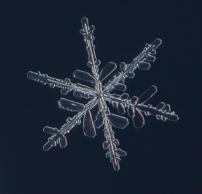 Фото Фотограф из Новосибирска показал 400 фотографий уникальных снежинок 7
