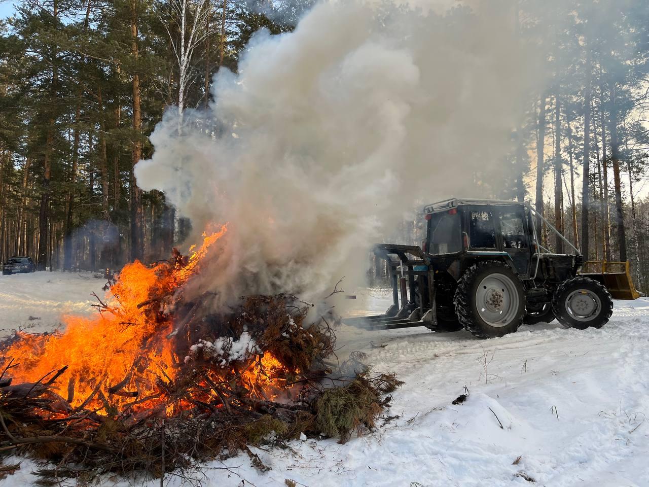 Фото 17 тысяч гектаров леса под Новосибирском обезопасили от пожаров 3
