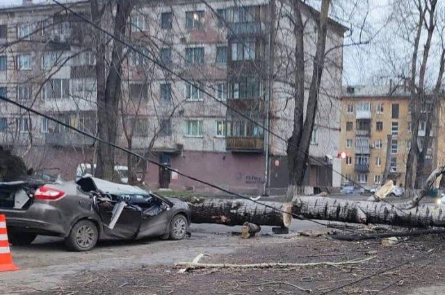 Фото Сибирский армагеддон. Сильнейший ураган прошёлся по Новосибирску, Кузбассу и Барнаулу — погибли трое 3