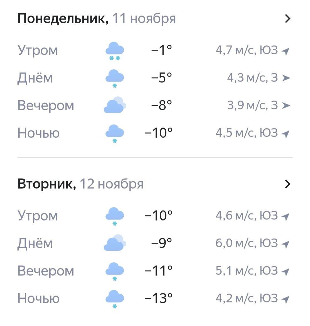 Фото В Новосибирск на неделе с 11 по 17 ноября придут морозы до -13 градусов 2