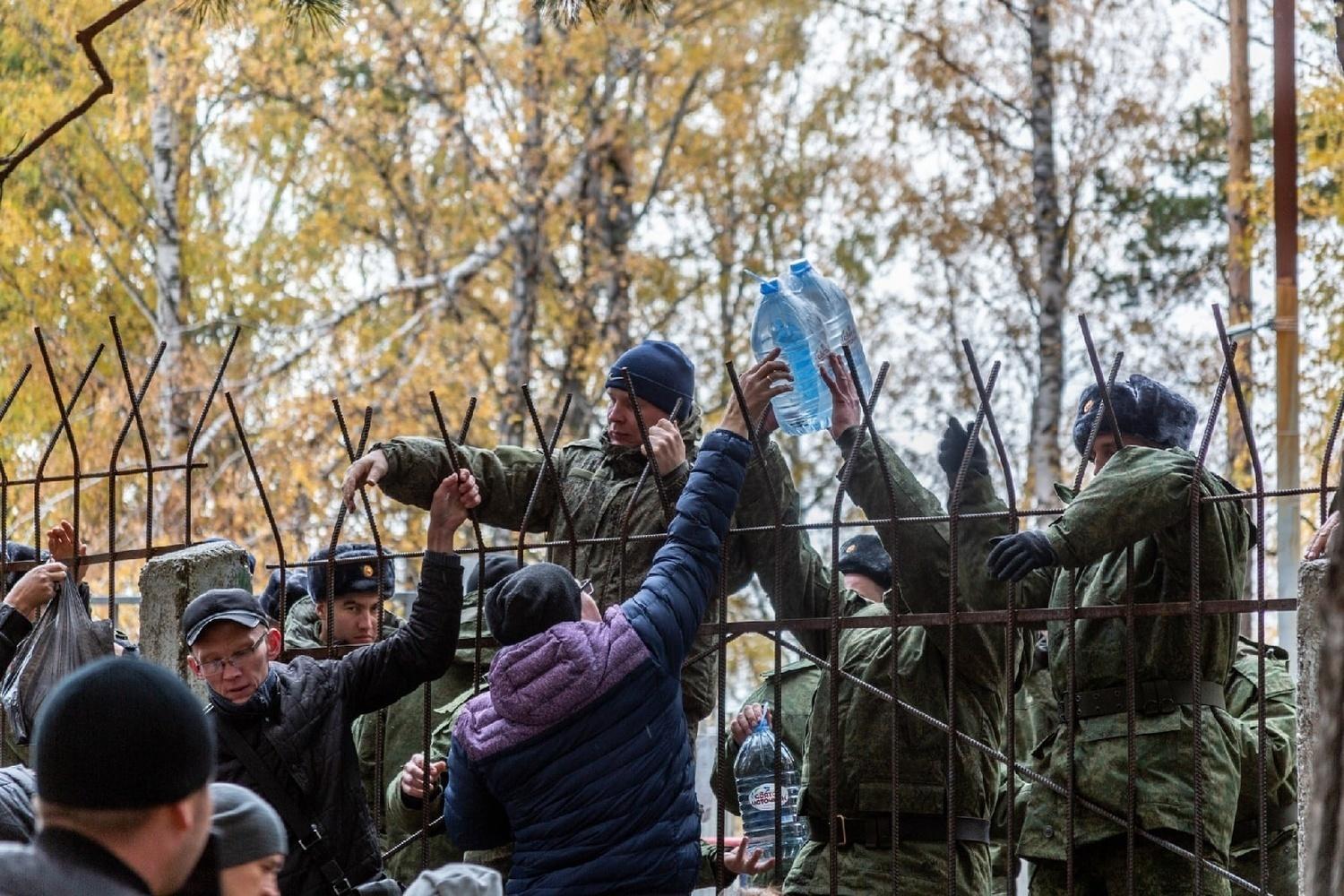 Фото Смертельное ДТП с ребенком и 1000 дней СВО: главные новости Новосибирской области за 19 ноября 3