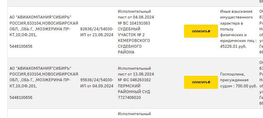 Фото Новосибирская авиакомпания S7 задолжала приставам 74 тысячи рублей 2