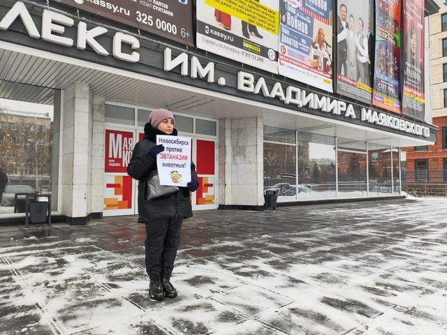 Фото Сбитый ребенок и пикеты против закона об эвтаназии: главное в Новосибирске за 8 ноября 2 - Сиб.ФМ Фото Сбитый ребенок и пикеты против закона об эвтаназии: главное в Новосибирске за 8 ноября 2