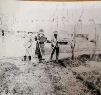 Фото В Новосибирске опубликованы кадры бурной молодости в СССР в Международный день студента 6 - Сиб.ФМ Фото В Новосибирске опубликованы кадры бурной молодости в СССР в Международный день студента 6