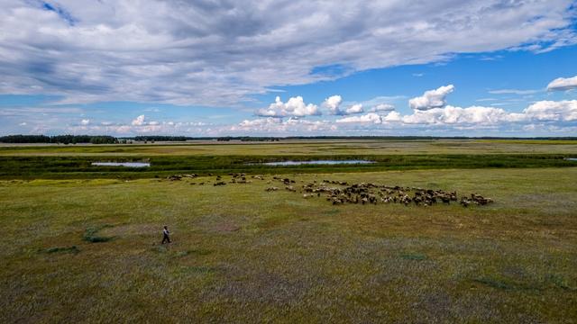 Фото Опубликовано 50 кадров с дрона видов Новосибирской области в День Сибири 28 - Сиб.ФМ Фото Опубликовано 50 кадров с дрона видов Новосибирской области в День Сибири 28