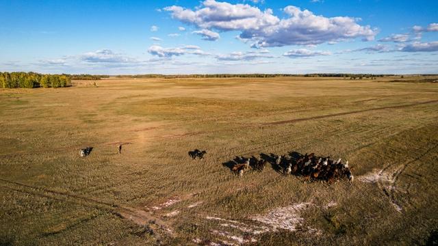 Фото Опубликовано 50 кадров с дрона видов Новосибирской области в День Сибири 30 - Сиб.ФМ Фото Опубликовано 50 кадров с дрона видов Новосибирской области в День Сибири 30