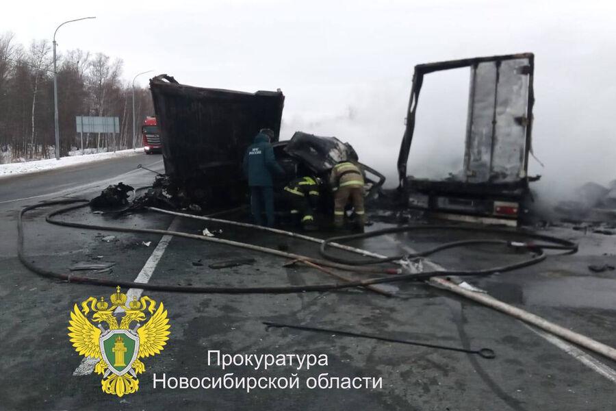 Фото ДТП с фурами, пожары за сутки и митинг против эвтаназии: главное в Новосибирске за 15 ноября 2 - Сиб.ФМ Фото ДТП с фурами, пожары за сутки и митинг против эвтаназии: главное в Новосибирске за 15 ноября 2