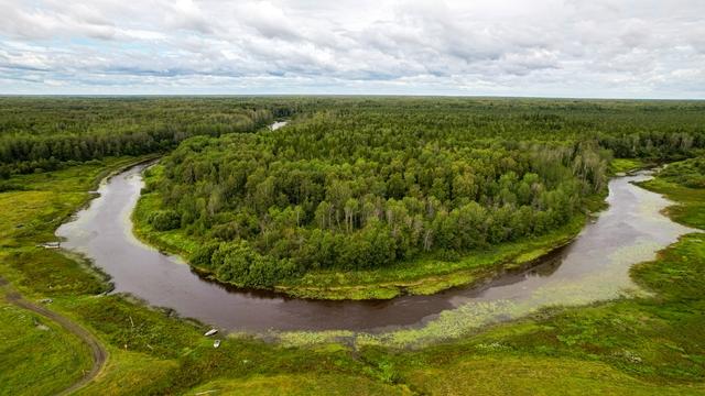 Фото Опубликовано 50 кадров с дрона видов Новосибирской области в День Сибири 31 - Сиб.ФМ Фото Опубликовано 50 кадров с дрона видов Новосибирской области в День Сибири 31